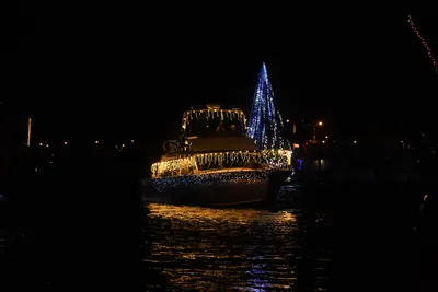 DSC_2490 (Large).JPG